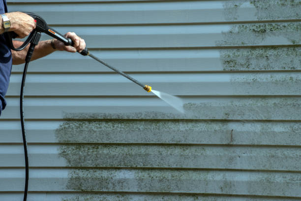 Best Roof Washing  in Orida Ridge, FL